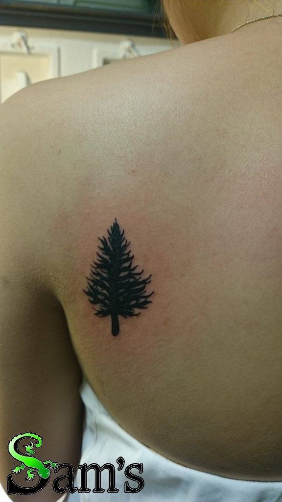 Tatouage arbre sapin