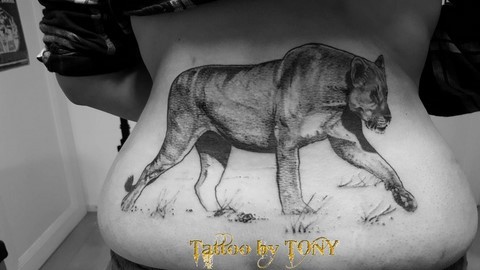 Tatouage puma