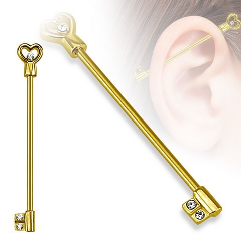 Bijou Piercing Oreille : Industriel