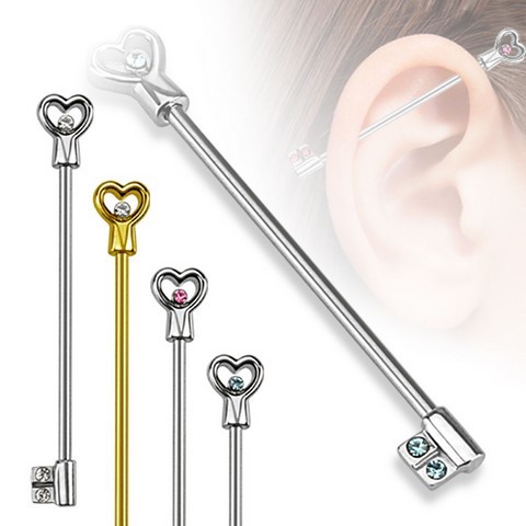 Bijou Piercing Oreille : Industriel