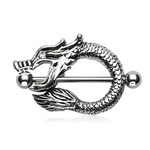 Bijou Piercing Anneau Téton
