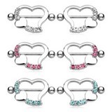 Bijou Piercing Anneau Téton